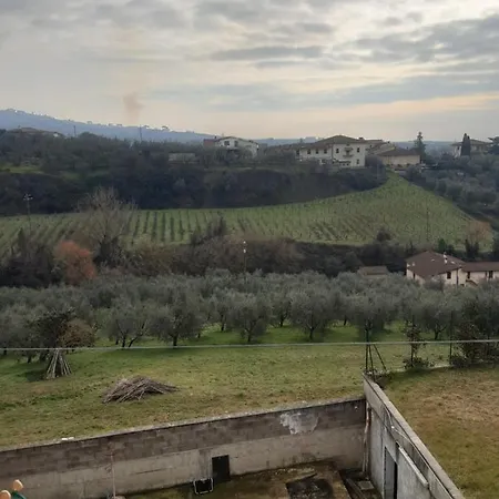 Meraviglioso Verde *